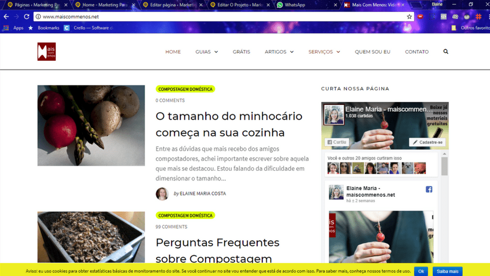 Mais Com Menos – Blog de Sustentabilidade
